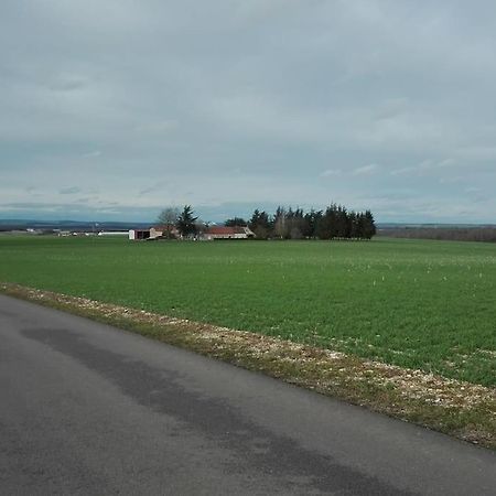 Maison Entiere Independante Noyers-sur-Serein Kültér fotó