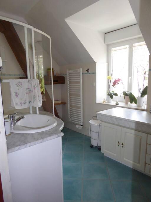 Maison Entiere Independante Noyers-sur-Serein Kültér fotó
