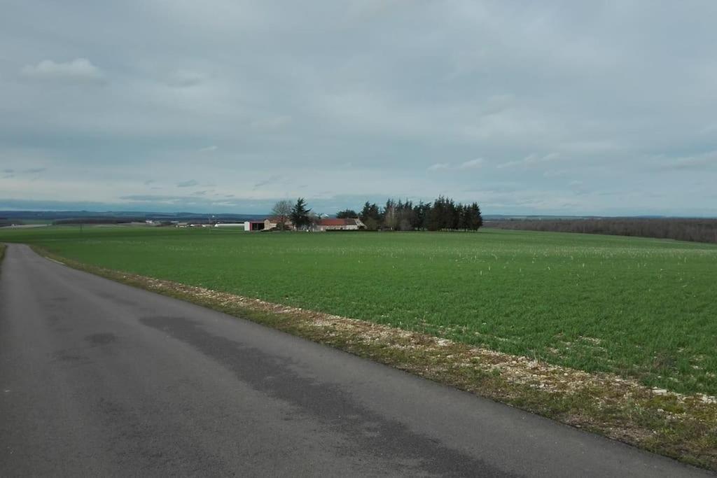 Maison Entiere Independante Noyers-sur-Serein Kültér fotó